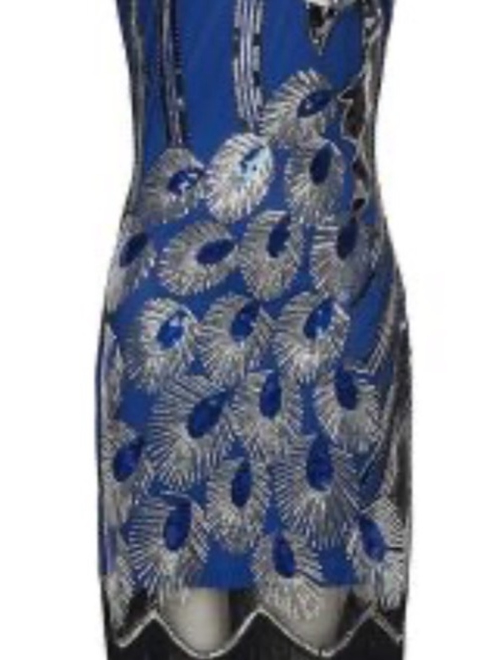 1920’s Blue Embroidered Peacock-Feather Flapper/Cocktail Dress